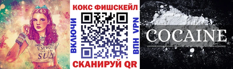 даркнет телеграм  Суровикино  Cocaine Эквадор  купить  