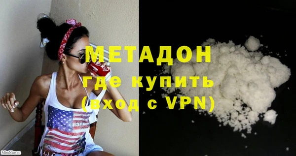 шишки Арсеньев