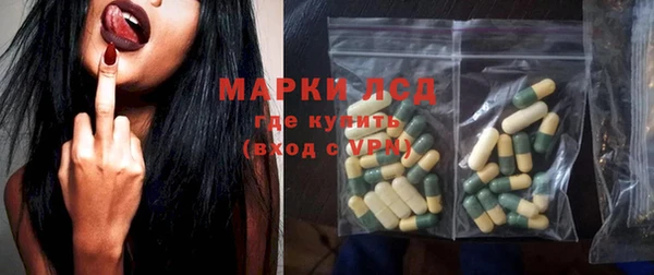 шишки Арсеньев