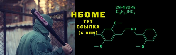 шишки Арсеньев