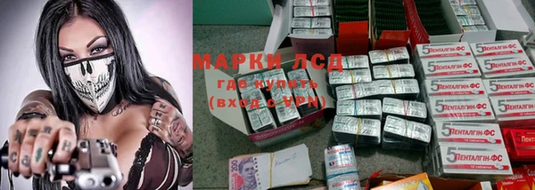 шишки Арсеньев