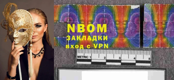 шишки Арсеньев
