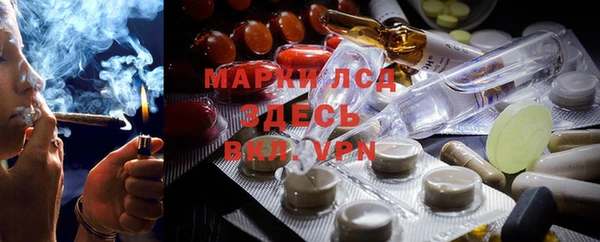 мяу мяу мука Аркадак