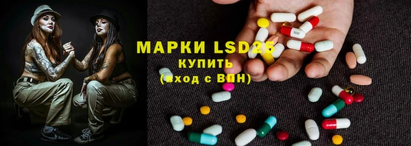 мяу мяу мука Аркадак
